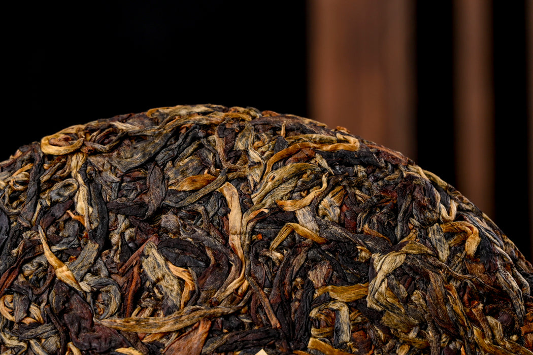 2022 Yunnan Sourcing "Da Shan" Sun-Dried Taliensis Black Tea