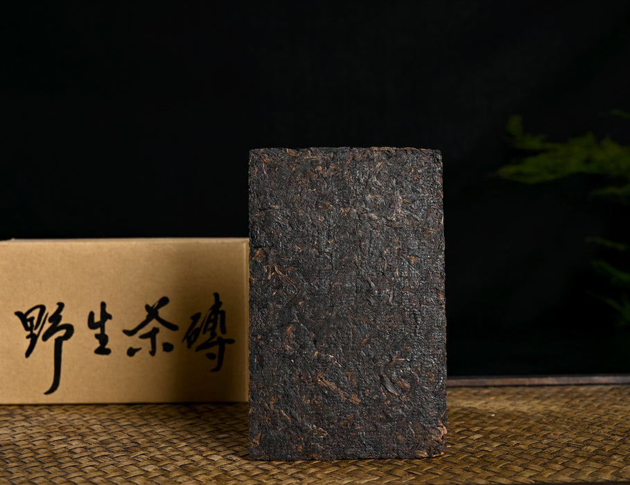 2005 Dehong "Wild Tree" Raw Pu-erh Tea Brick