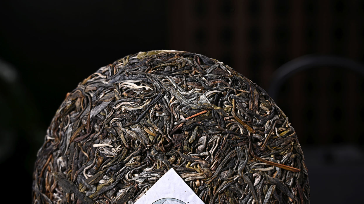 2021 Yunnan Sourcing "Mang Zhi" Old Arbor Raw Pu-erh Tea Cake