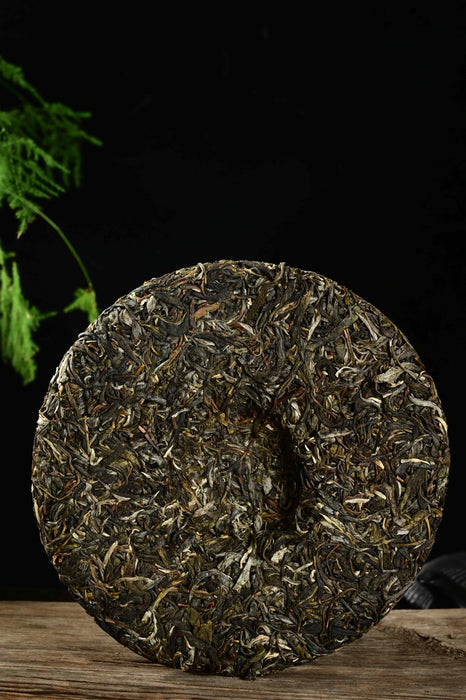2020 Yunnan Sourcing "Autumn Jingmai Mountain" Raw Pu-erh Tea Cake