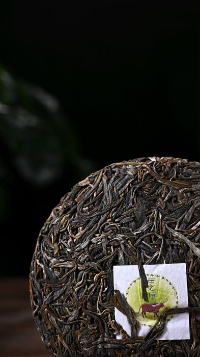 2021 Yunnan Sourcing "Guang Bie Lao Zhai" Old Arbor Raw Pu-erh Tea Cake