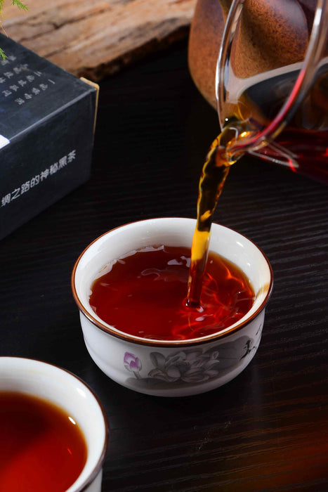 2011 Bai Sha Xi "Tian Fu" Tian Jian Fu Brick Tea