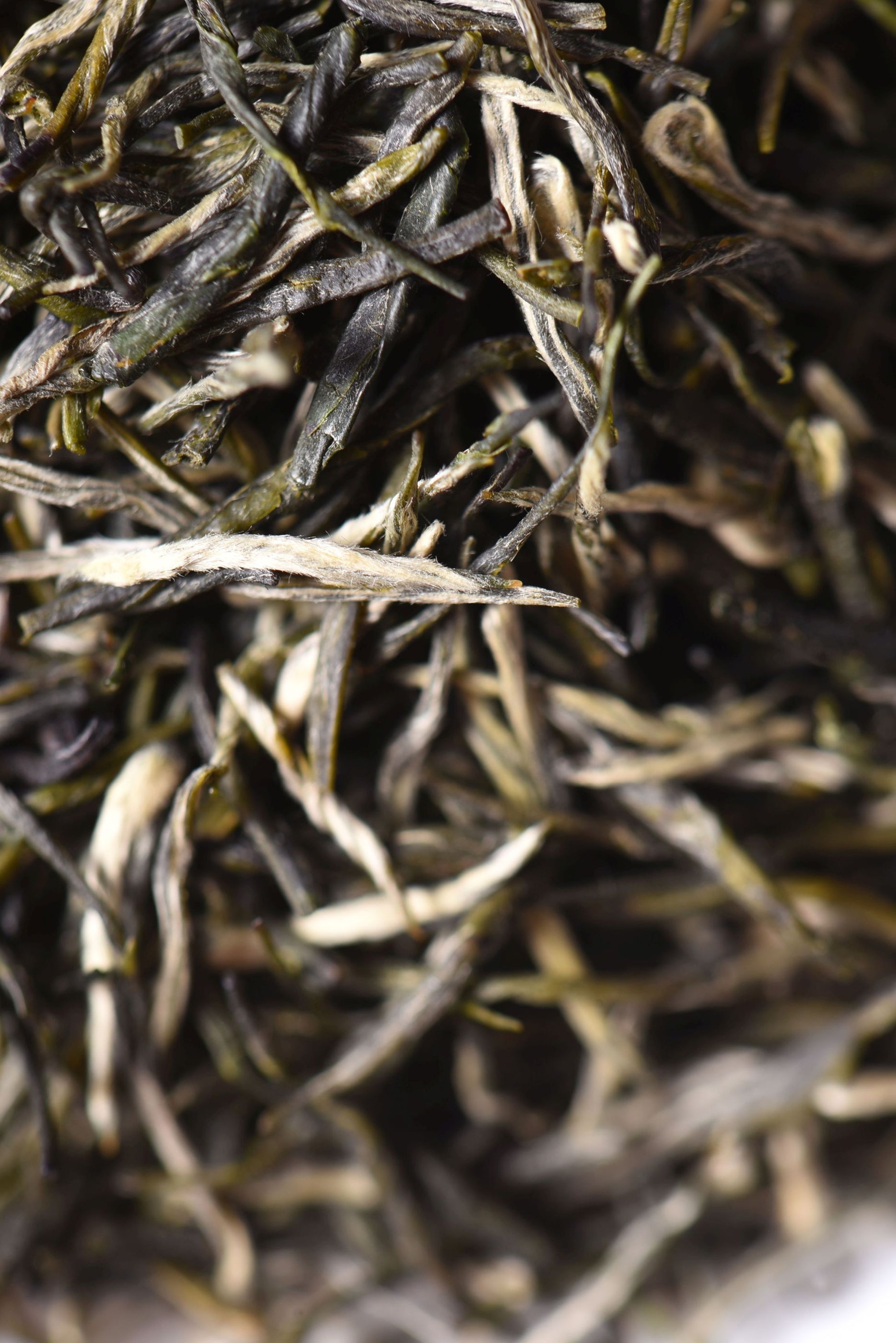 Xinyang Mao Jian Green Tea of Henan — Yunnan Sourcing Tea Shop