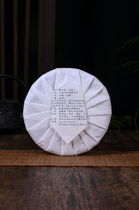 2022 Yunnan Sourcing "Luo Shui Dong" Ancient Arbor Raw Pu-erh Tea Cake