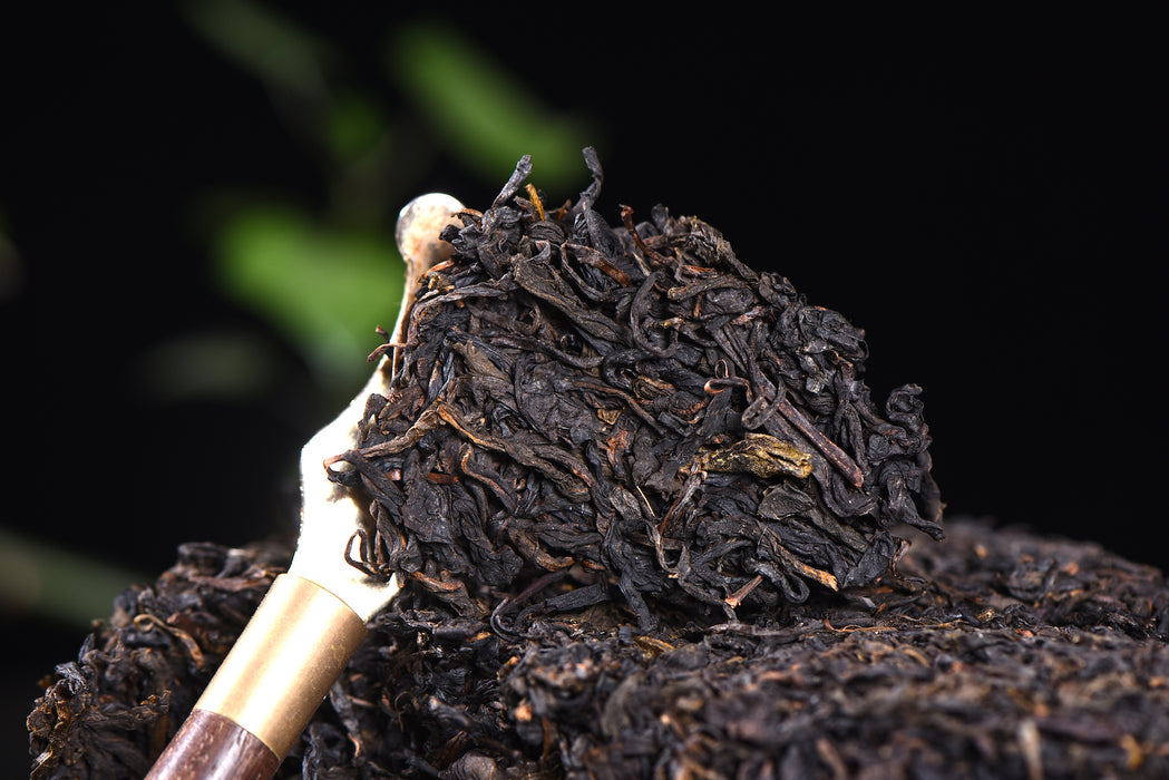 2018 Cha Yu Lin "Liu Bu Xi Village" Tian Jian Basket Tea | Yunnan Sourcing Tea Shop