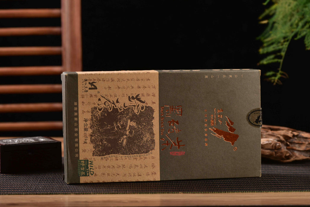 2012 Gao Jia Shan "Hei Zhuan" Hunan Hei Cha Brick