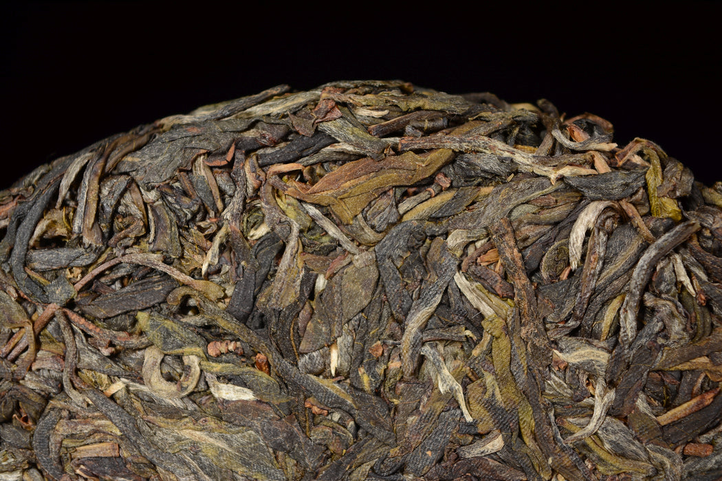 2019 Yunnan Sourcing "Ding Jia Zhai" Ancient Arbor Raw Pu-erh Tea Cake