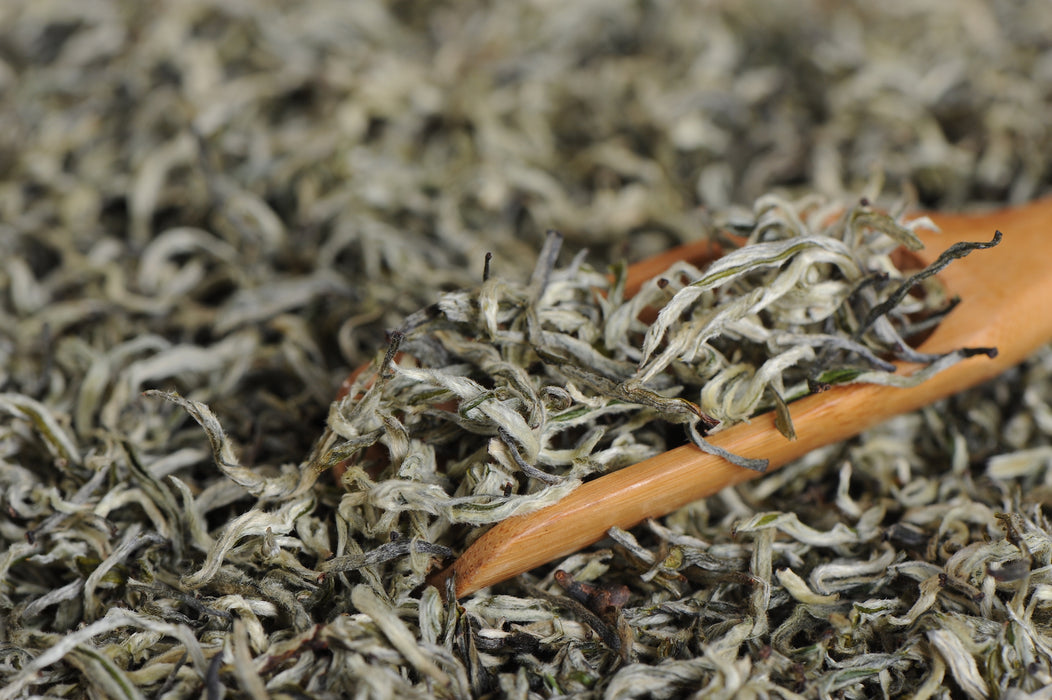 Yunnan "Pure Bud Silver Strands" First Flush Green Tea