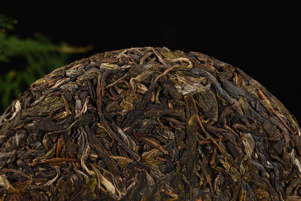 2020 Yunnan Sourcing "Forest Tea" Raw Pu-erh Tea Cake