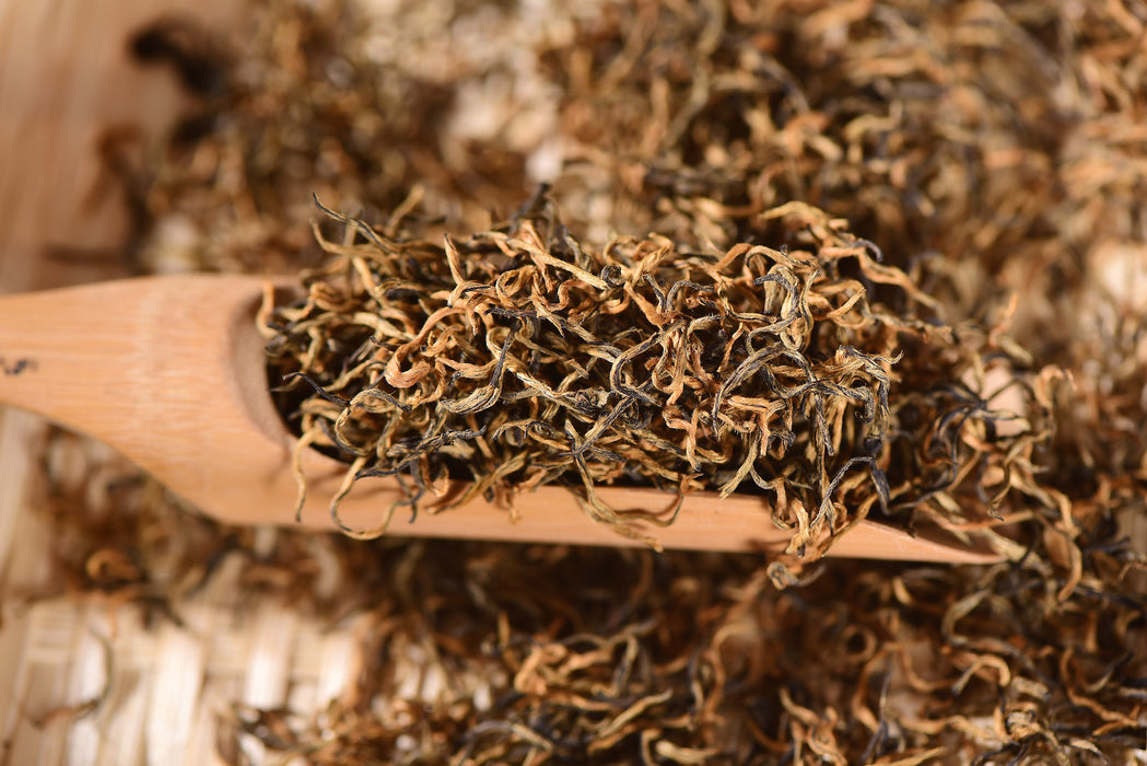Simao "Spring Tips" Pure Bud Black Tea of Yunnan