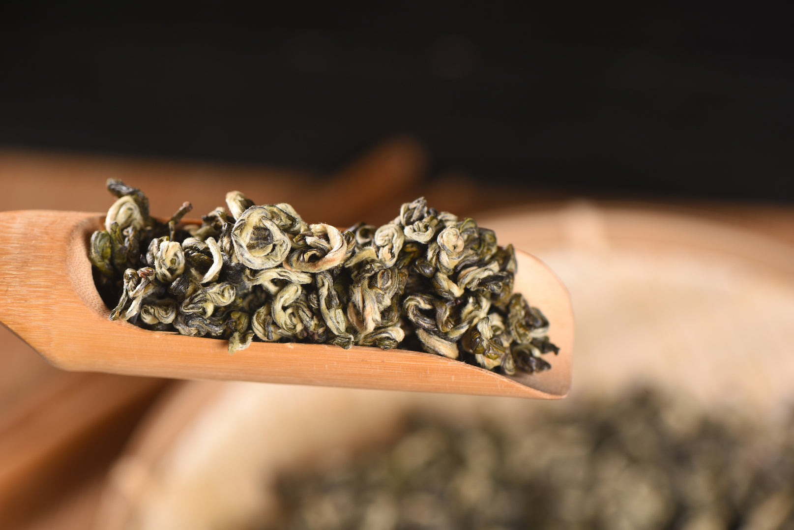 Yunnan Green Spring Snail Bi Luo Chun Green Tea Yunnan Sourcing Tea Shop