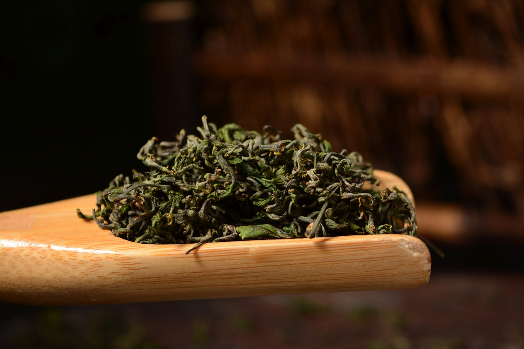 Imperial Grade "Gan Zao Ye" Wild Jujube Tea from Laoshan Village