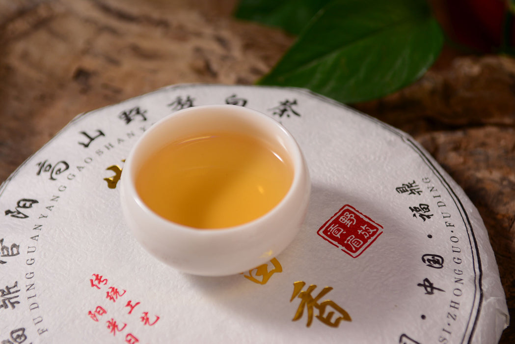 2015 Guan Yang "Wild White" Gong Mei Tea Cake