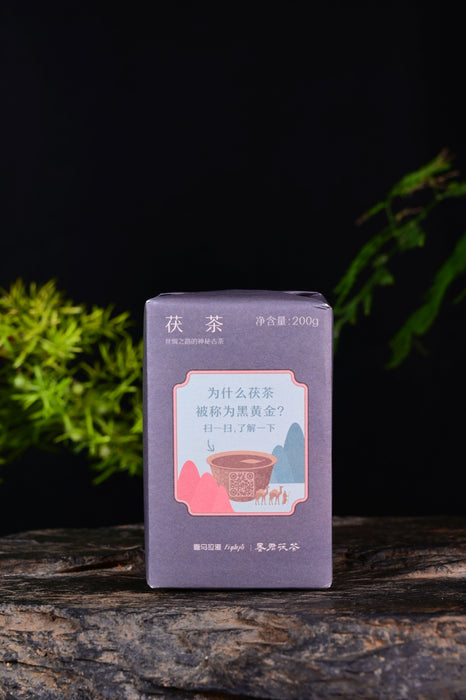 2018 Mojun Fu Cha "Himalaya Fu Brick" Tea