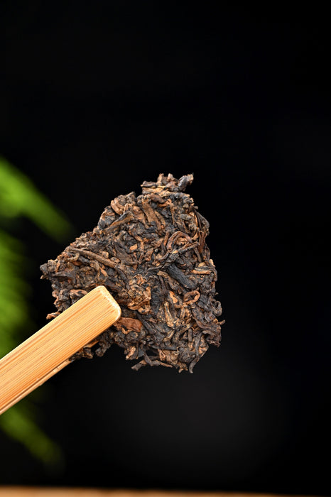 tobacco seeds amazon nicotina tabacum (virgin tobacco) - 500 seeds (tobacco seeds) tobacco seeds amazon nicotina tabacum (virgin tobacco) - 500 seeds (tobacco seeds)