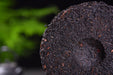 "Purple Voodoo" Purple Black Tea Cake * Spring 2018 | Yunnan Sourcing Tea Shop