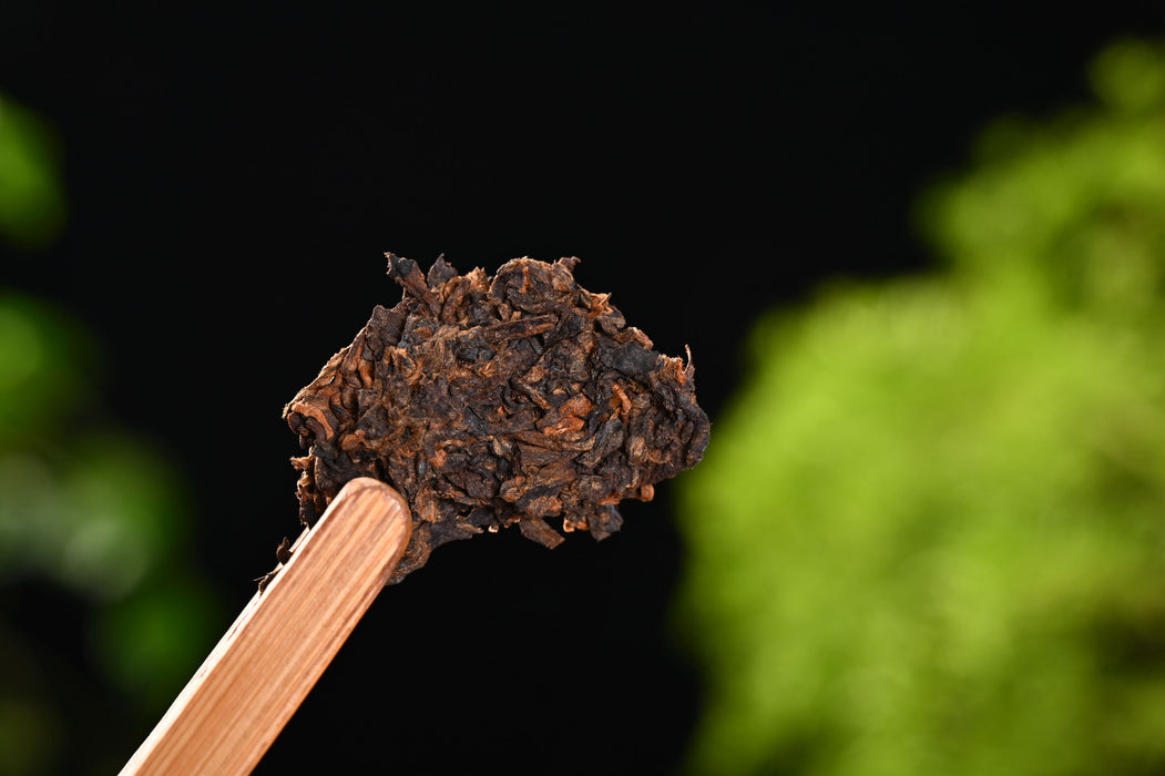 tobacco pouch in mouth How safe are nicotine pouches Tobacco-free does not mean risk-free VCU expert says tobacco pouch in mouth How safe are nicotine pouches Tobacco-free does not mean risk-free VCU expert says