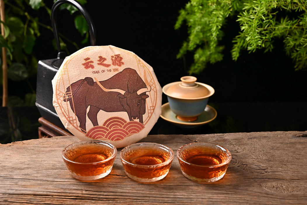 Wholesale Pu erh Tea - Yunnan Tuocha - Jenier