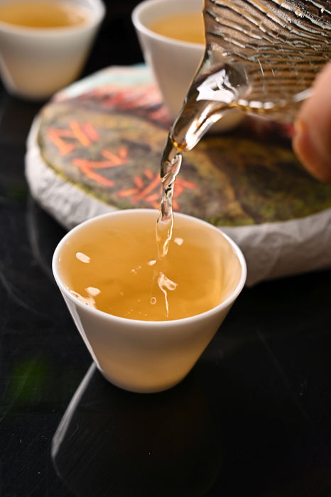 2021 Yunnan Sourcing "Forest Tea" Raw Pu-erh Tea Cake