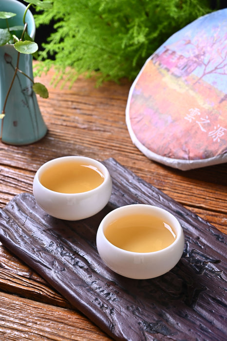 2021 Yunnan Sourcing "He Xie" Raw Pu-erh Tea Cake