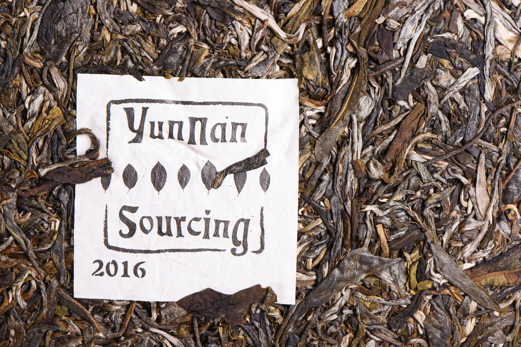 2016 Yunnan Sourcing "Autumn Da Qing Gu Shu" Raw Pu-erh Tea Cake