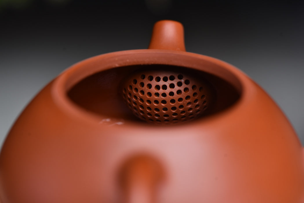 Qing Shui Ni Clay "Shi Piao" Yixing Teapot by Tan Jun | Yunnan Sourcing Tea Shop