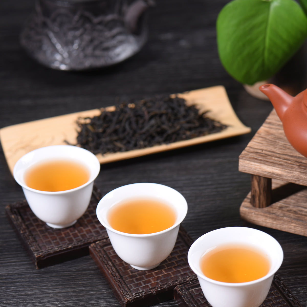 ジャンク Xenns Mangird Tea 右 DSC_8304_1200x1200_crop_center