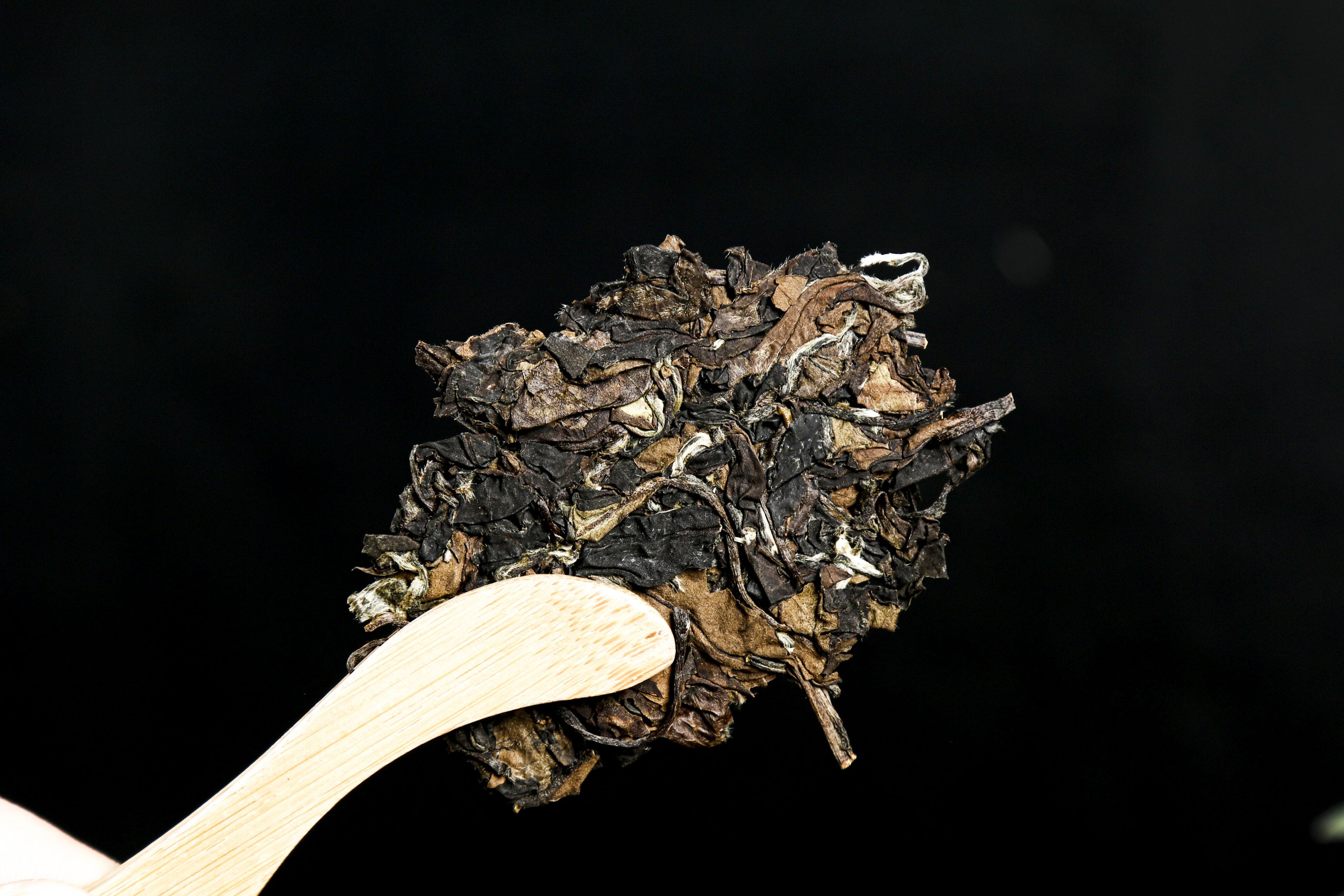 2018 Guan Yang "Lao Bai Cha" Gong Mei White Tea Cake Yunnan Sourcing ...