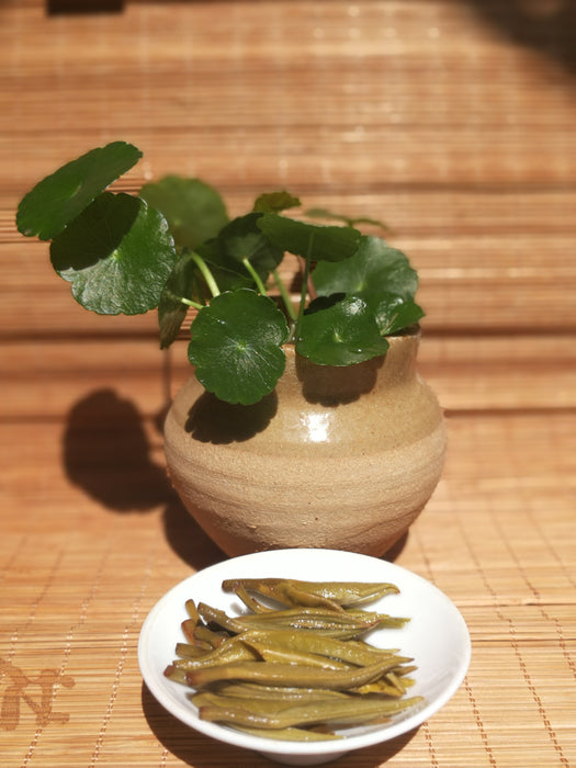 Early Spring "Snow Buds" White Tea of Yunnan