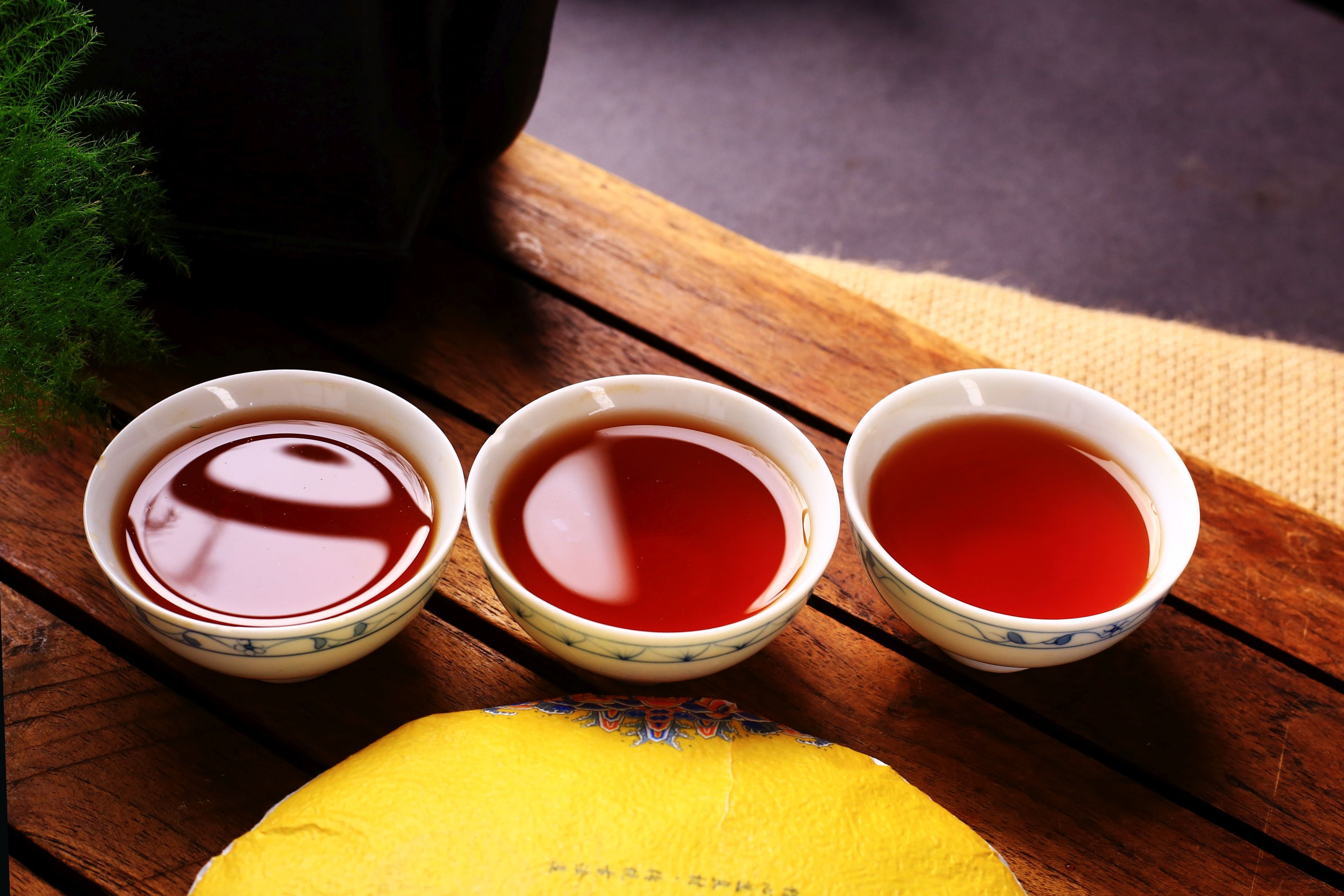 Aged Tangerine Peel & Gong Ting Ripe Pu-erh Tea Cake — Yunnan Sourcing ...