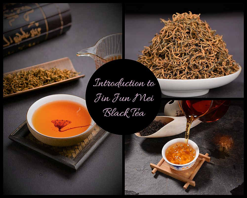 Jsmp Tea Introduction to Jin Jun Mei Black Tea Sampler Yunnan Sourcing Tea Shop