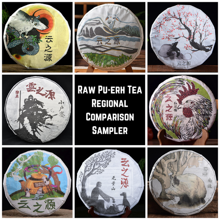 Raw Pu-erh Tea Regional Comparison Sampler