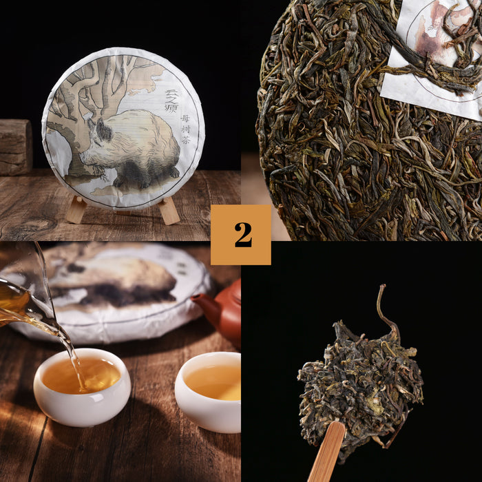 2019 Yunnan Sourcing "Autumn Lincang" Raw Pu-erh Tea Sampler * Part 2