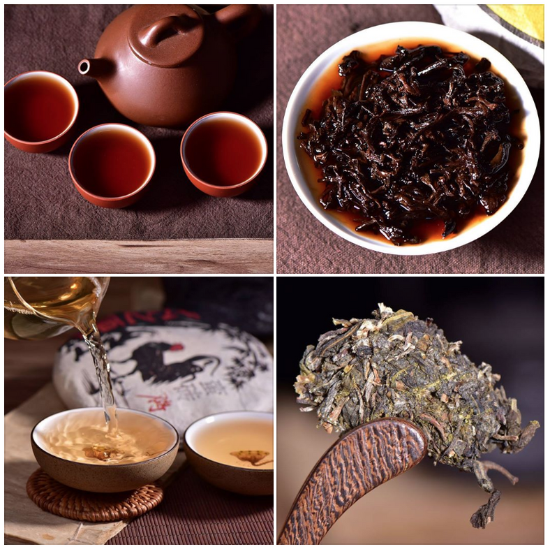 Curated Tea Samplers Yunnan Sourcing Tea Shop