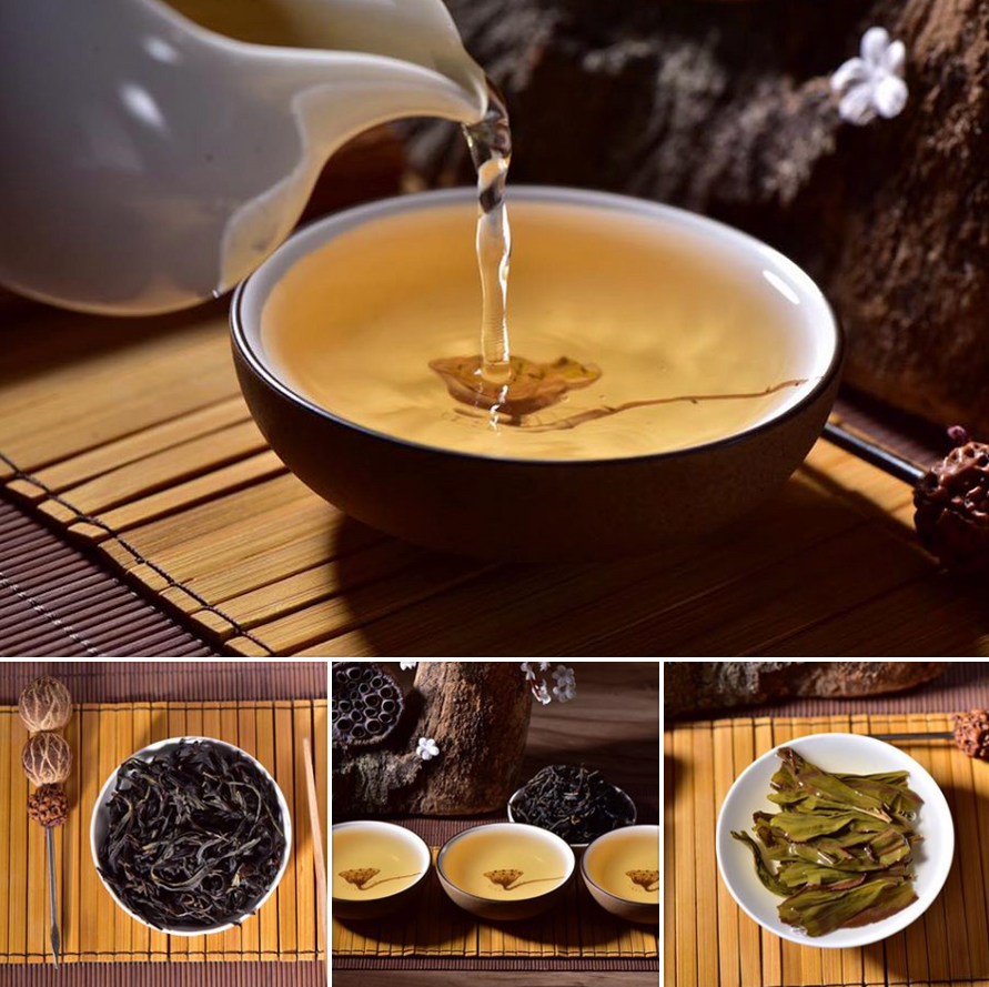 Curated Tea Samplers Yunnan Sourcing Tea Shop
