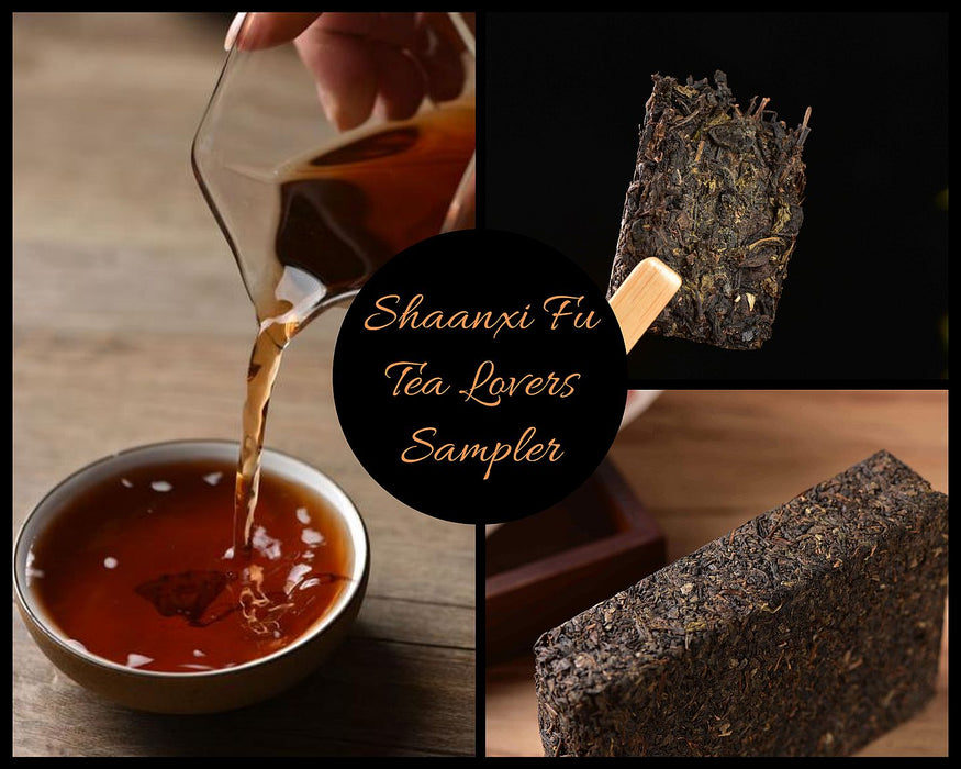 Shaanxi Fu Tea Lovers Sampler