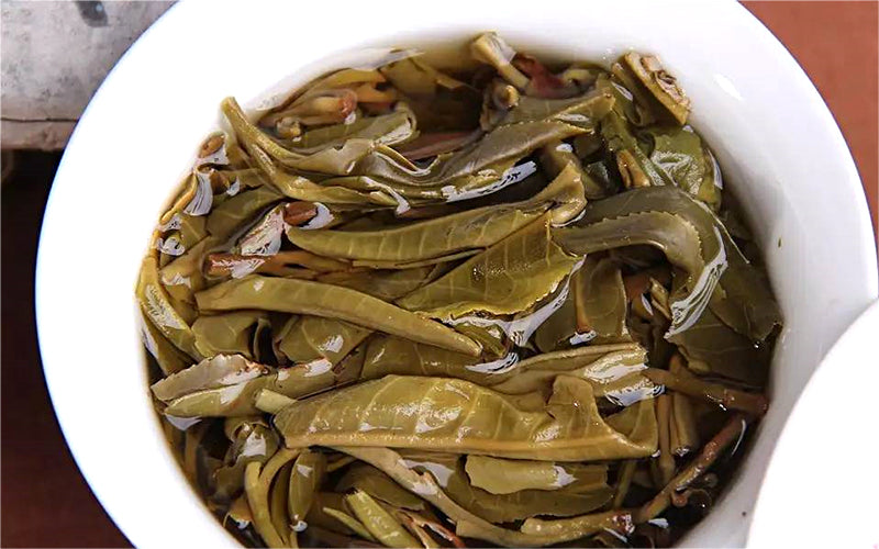 2017 Haiwan "Good Tea For Everyone" Raw Pu-erh Tea Cake | Yunnan Sourcing Tea Shop