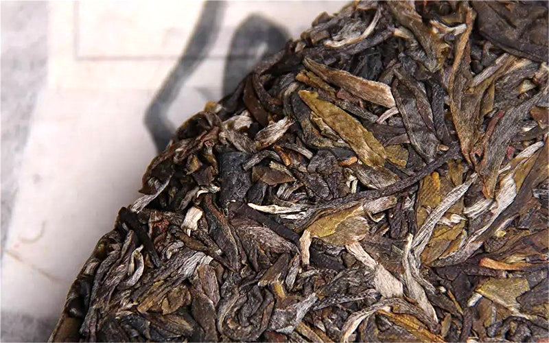 2017 Haiwan "Good Tea For Everyone" Raw Pu-erh Tea Cake | Yunnan Sourcing Tea Shop