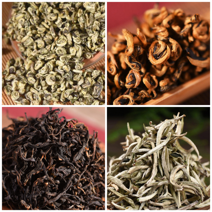 Yunnan "Early Spring" White, Green, and Black Tea Sampler