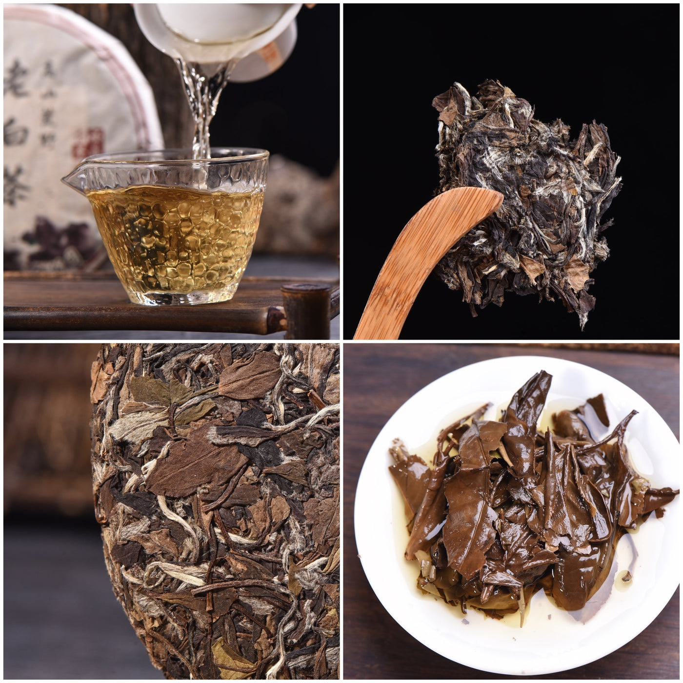 White Tea Cakes for Aging Sampler Set Part 1 — Yunnan Sourcing Tea Shop