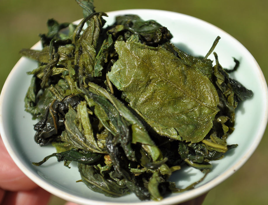 Liang He Wild Grown Jiaogulan * Gynostemma pentaphyllum - Yunnan Sourcing Tea Shop
