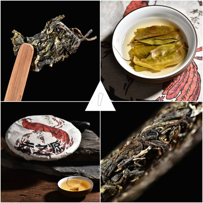 2017 Yunnan Sourcing "Autumn Lincang" Raw Pu-erh Tea Sampler * Part 1
