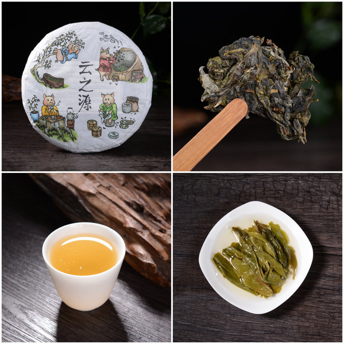 2019 Yunnan Sourcing "Bang Dong Pigs" Raw Pu-erh Tea Sampler