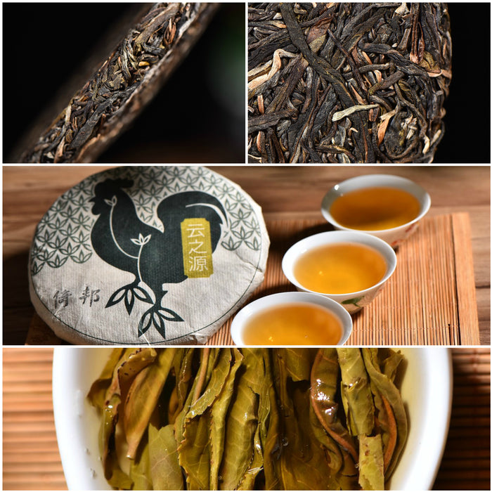 Yi Wu Focus - Yi Bang Village Raw Pu-erh Tea Sampler