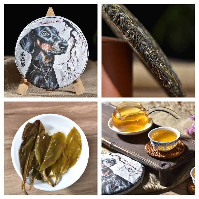 2018 Yunnan Sourcing "Spring Yi Wu" Raw Pu-erh Tea Sampler