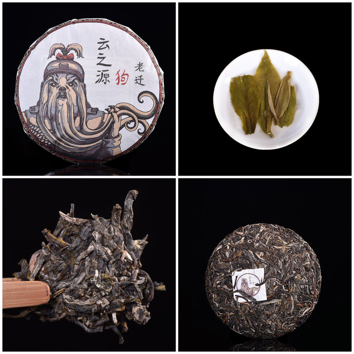 2018 Yunnan Sourcing "Autumn Yi Wu" Raw Pu-erh Tea Sampler